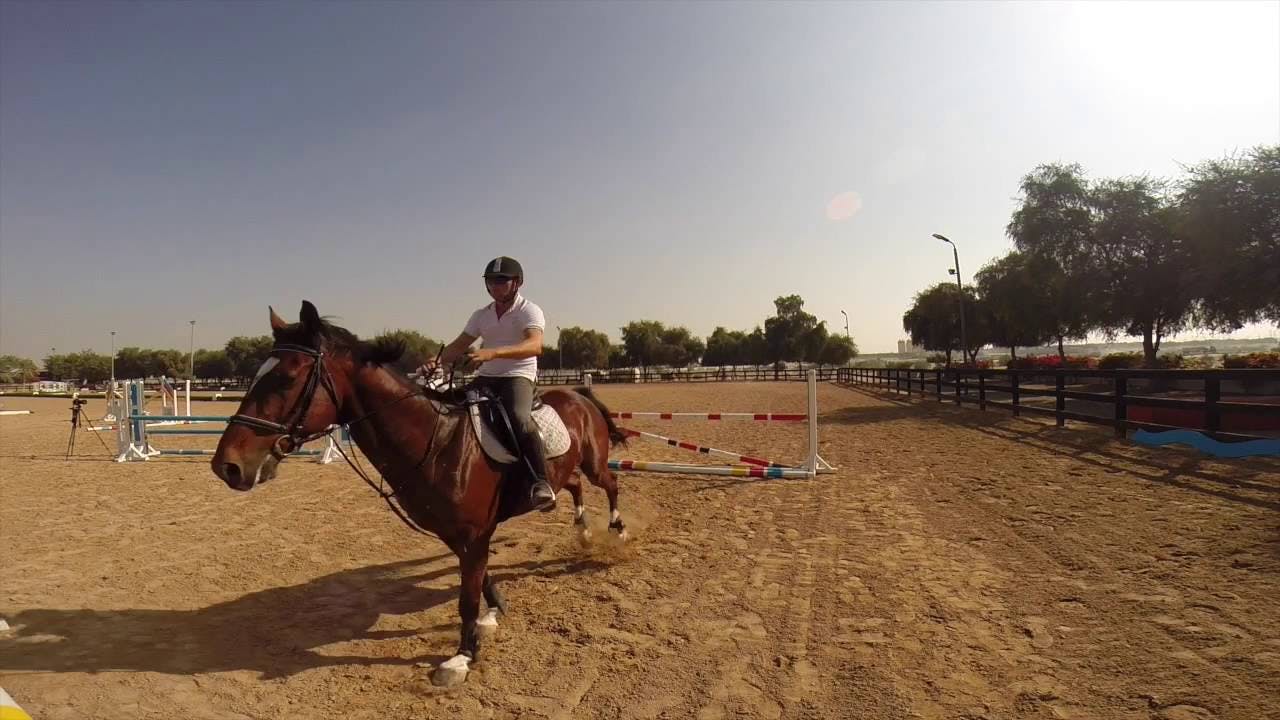 Dubai Horse Riding School- 3
