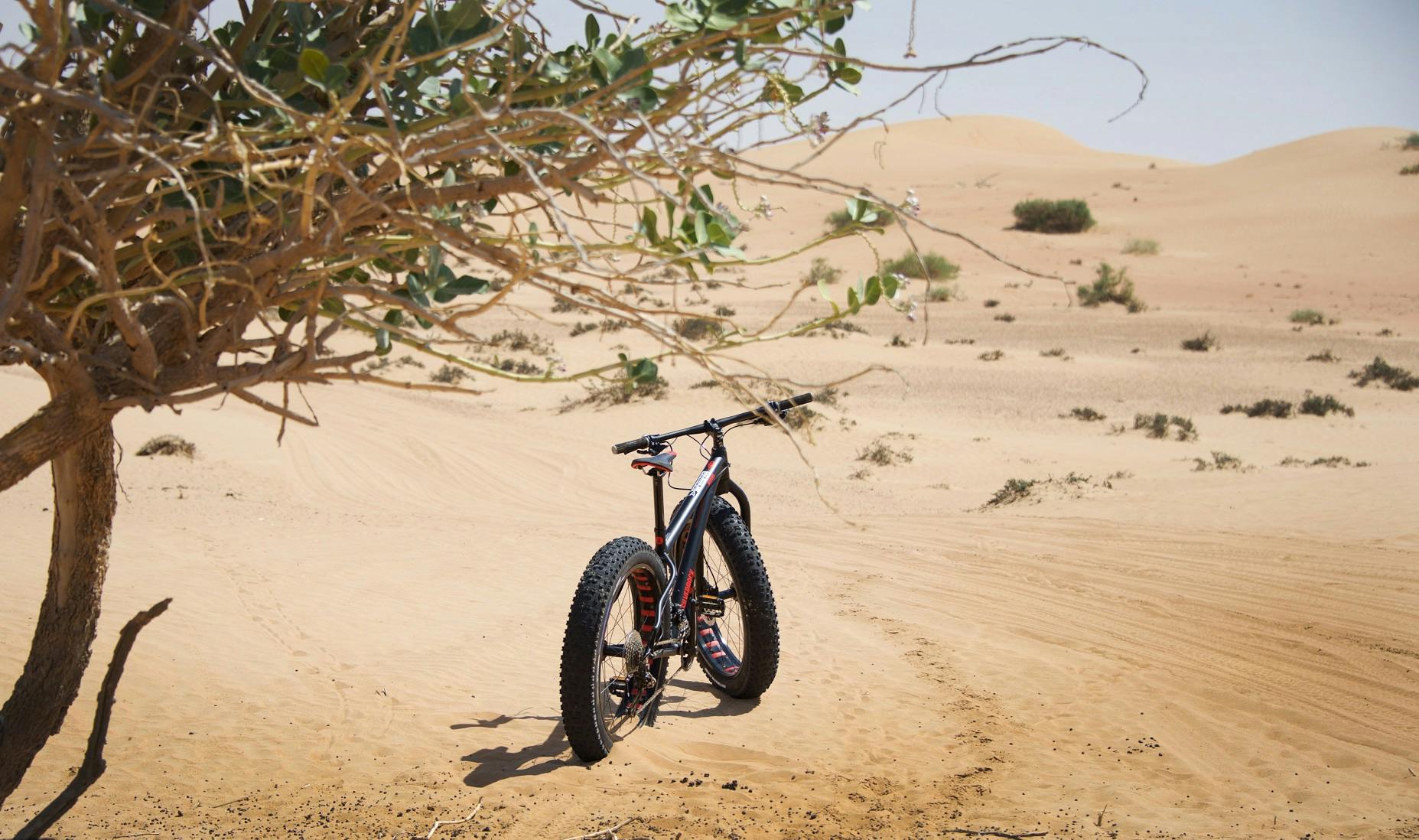 Adventure Activities in Dubai - Fat Tyre Biking- 3