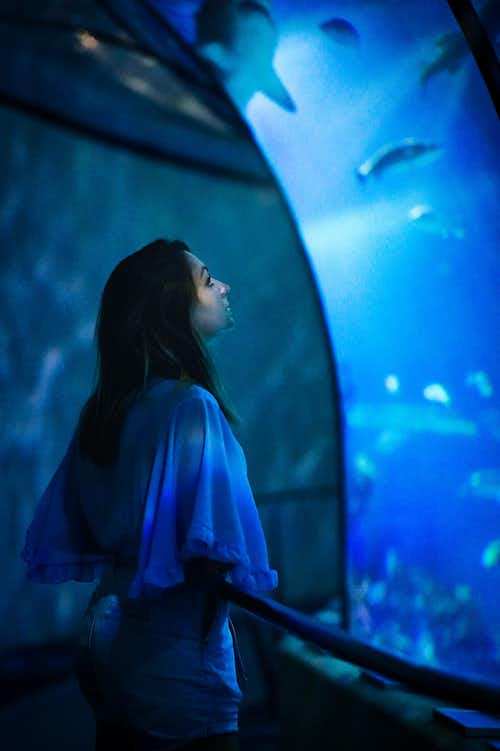 Barcelona Aquarium