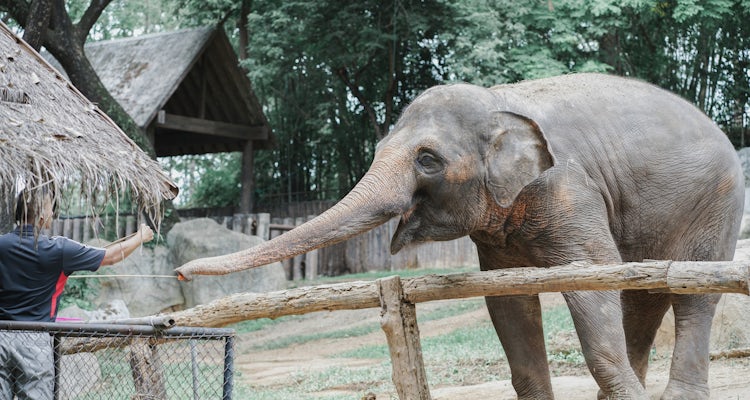 Barcelona Zoo Tickets