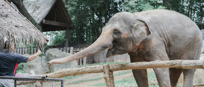 things to do in Barcelona with Kids