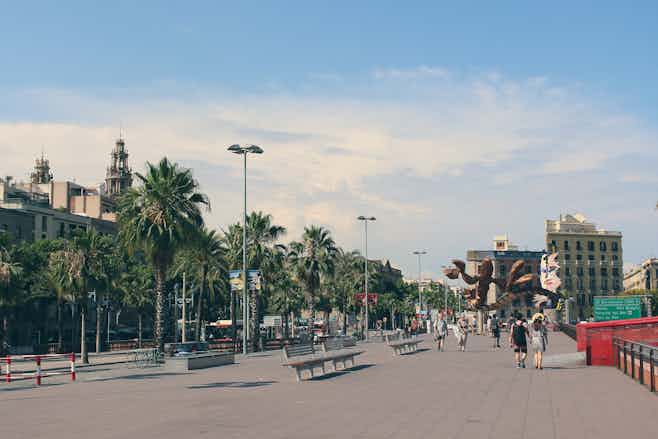 barcelona in february