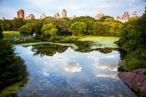 new york in january - Winter Antiques Show