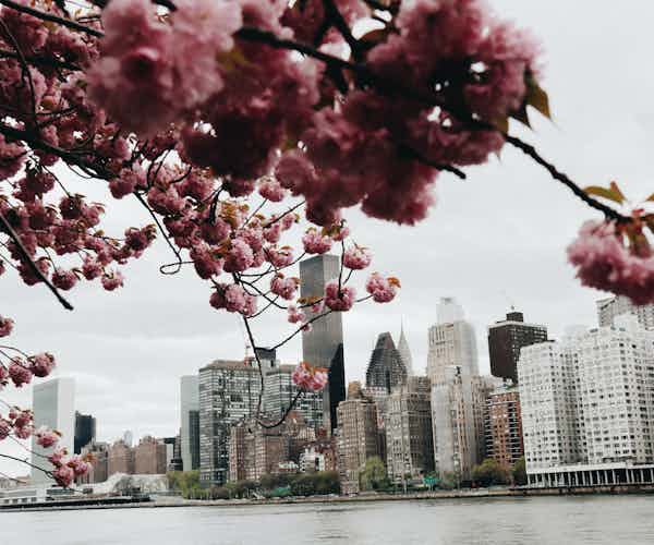 New York in May events