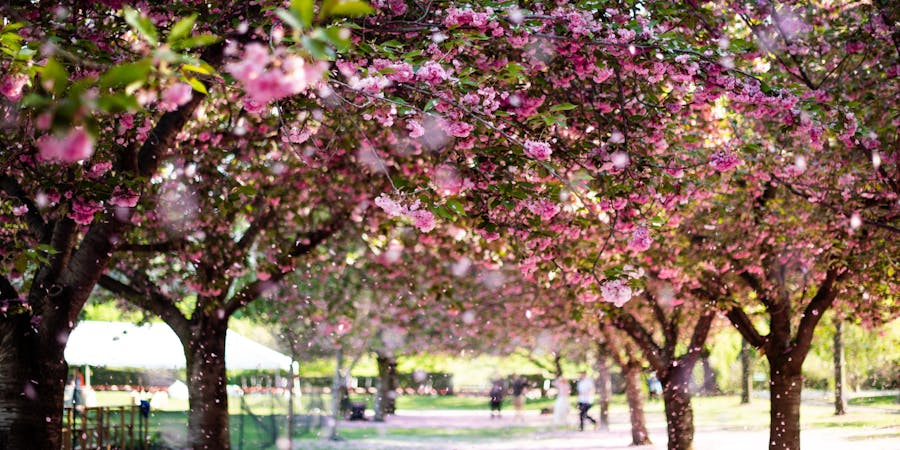 New York in May - desert safari