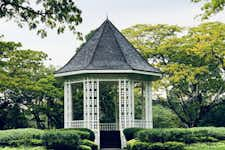 Best Things to do in Singapore - Singapore Botanic Gardens - 1