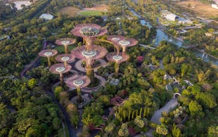 Gardens by the bay singapore - 5 day singapore itinerary