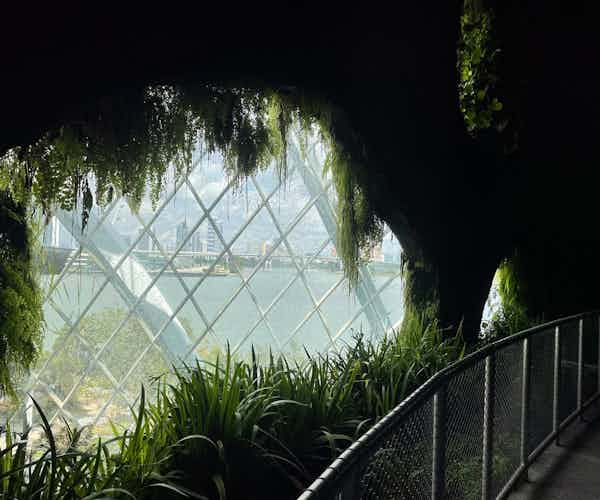 Singapore in January events