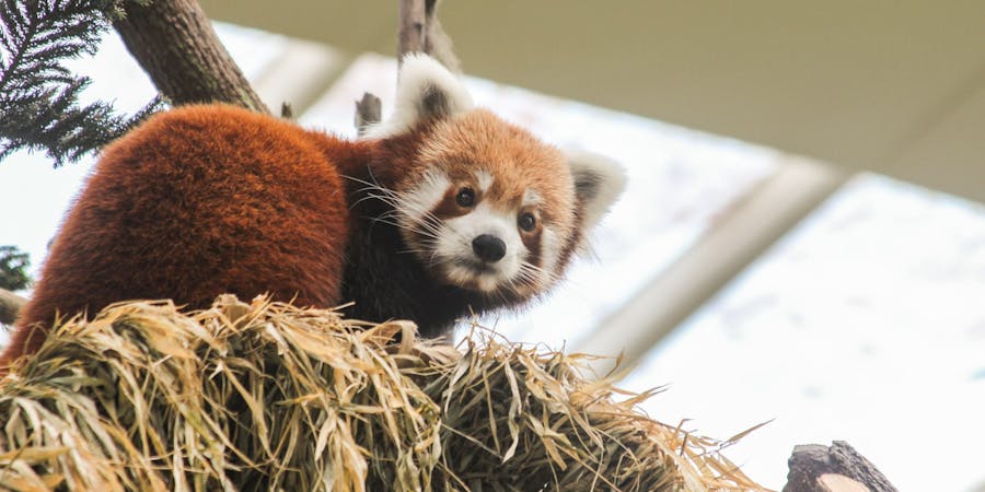 Singapore in January - River Safari