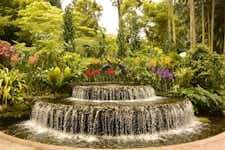 Best Things to do in Singapore - Singapore Botanic Gardens - 3