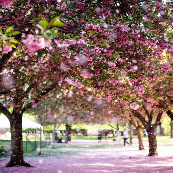New York in March events