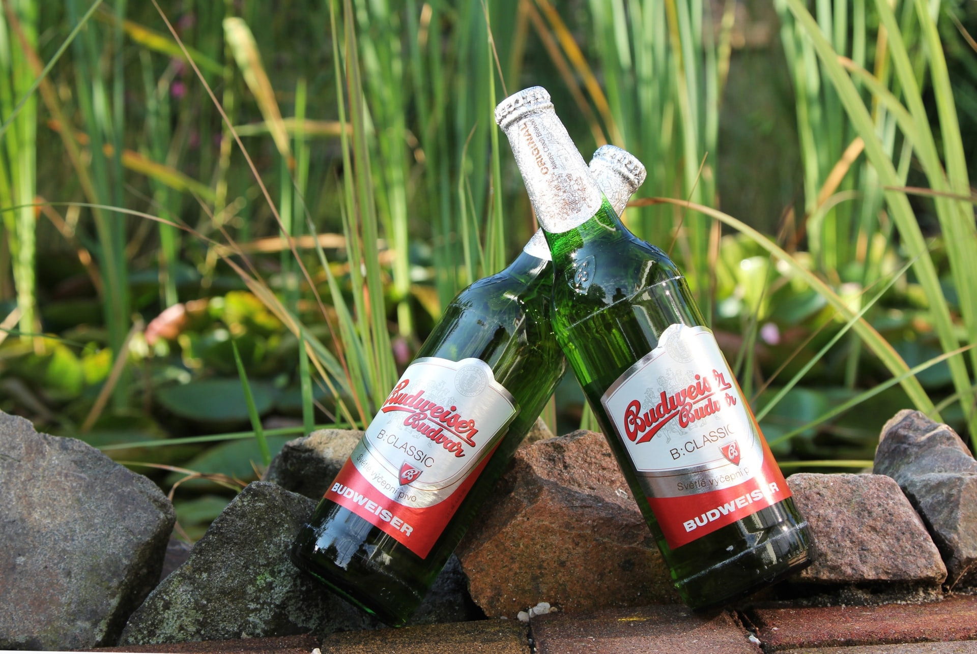 Things to do in prague