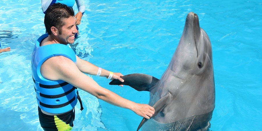 Dubai in August - dubai dolphinarium