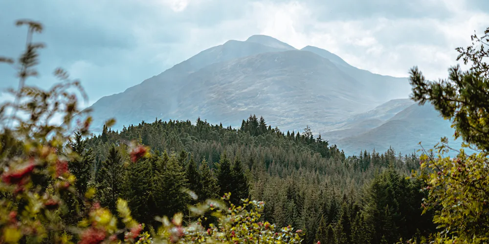 edinburgh to highlands