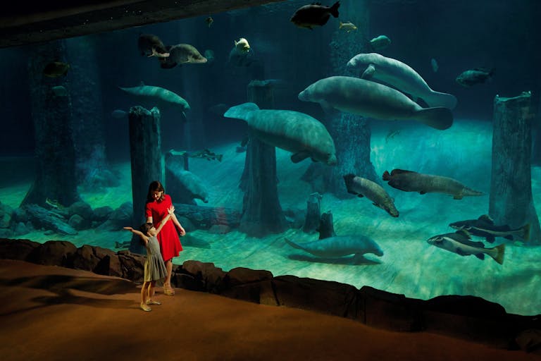 river safari singapore