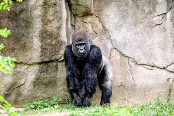 Melbourne Zoo