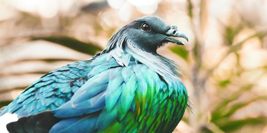 Singapore in October - jurong bird park