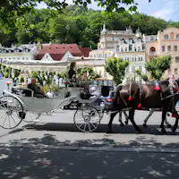 things to do in karlovy vary