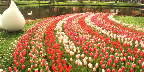 best time to visit amsterdam