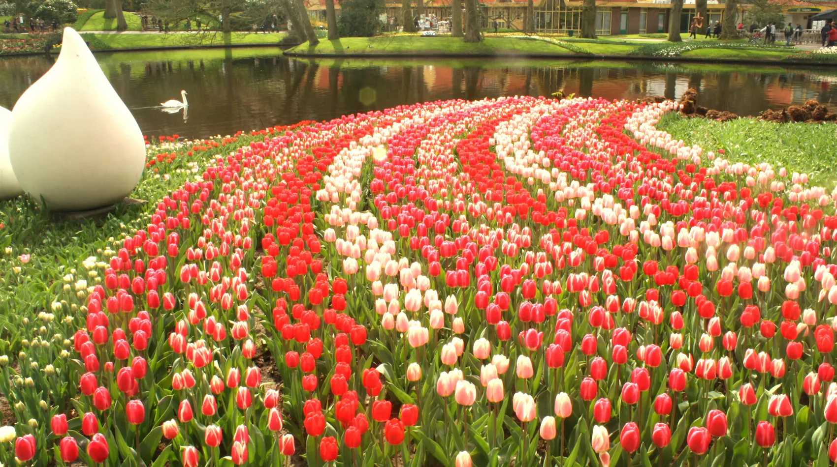 Keukenhof Tulip Garden Amsterdam