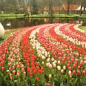 Amsterdam in 1 Day - Itinerary