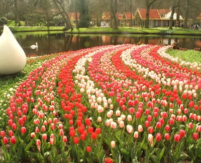 Changi Experience Studio