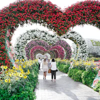 dubai miracle garden