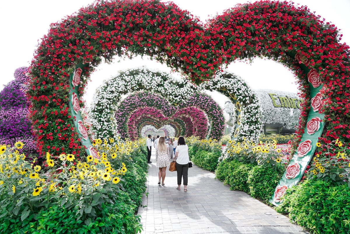 A Visitor S Guide To Miracle Garden Dubai Miracle Garden Dubai Tickets