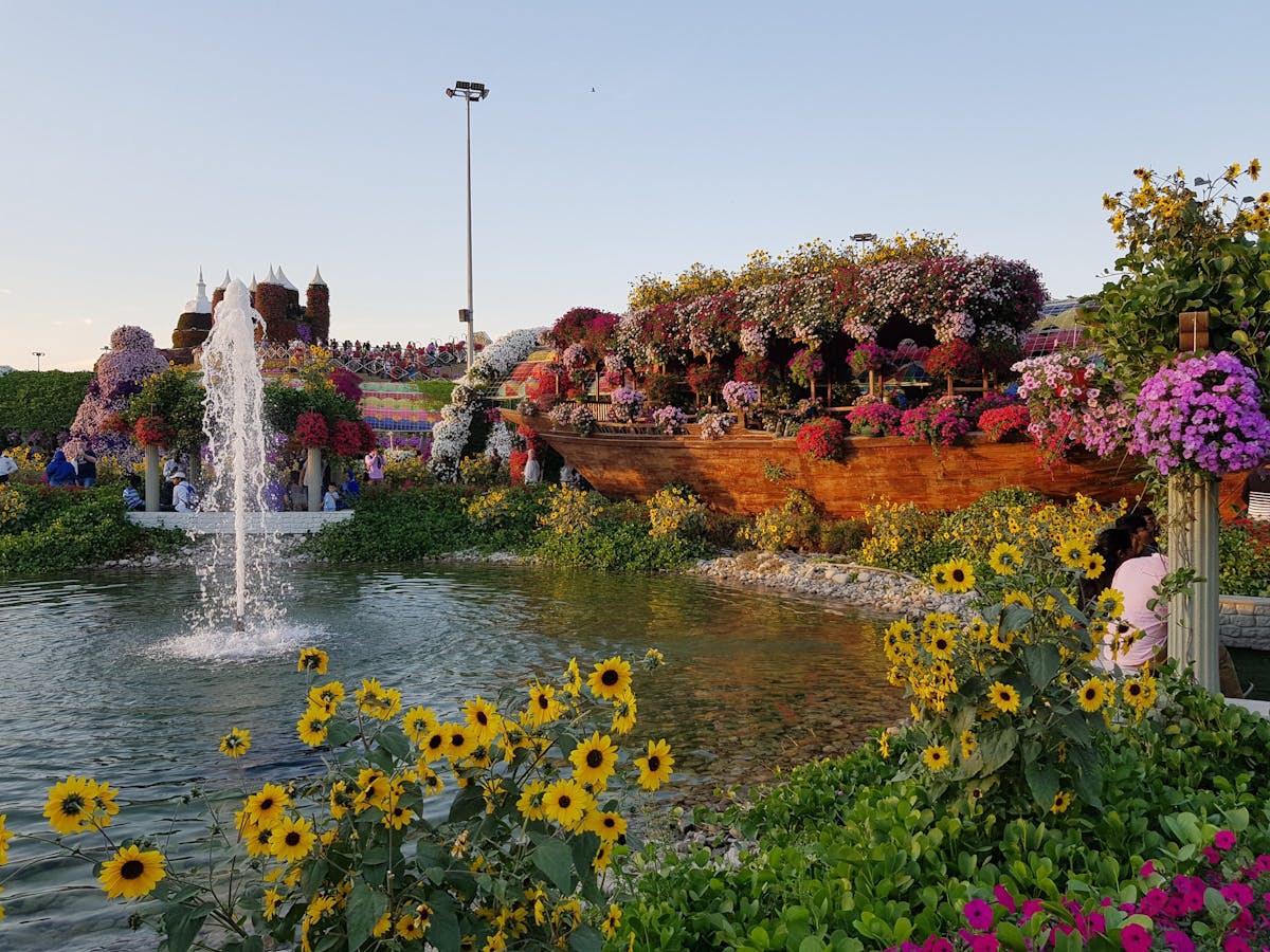 miracle garden