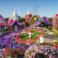 Dubai Miracle Garden