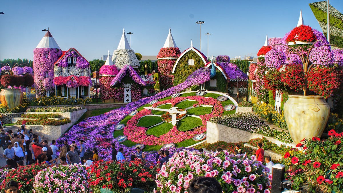 Dubai Miracle Garden On Twitter New Timings For Dubai Miracle Garden Weekdays Sunday Thursday 9am To 9pm Friday 9am To 11pm Saturday 9am To 10pm Dubaimiraclegarden Ilovedmg