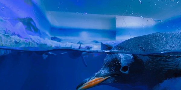 Sea Life Aquarium London tickets