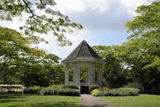 Best Things to do in Singapore - Singapore Botanic Gardens - 2