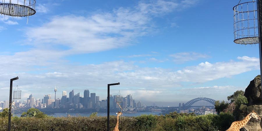 Sydney in November - Sydney Taronga Zoo