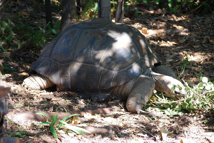  Melbourne Zoo activities