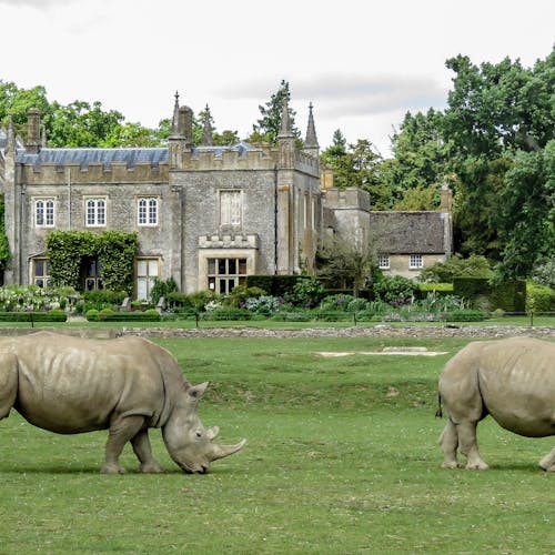 London to Cotswolds Attractions