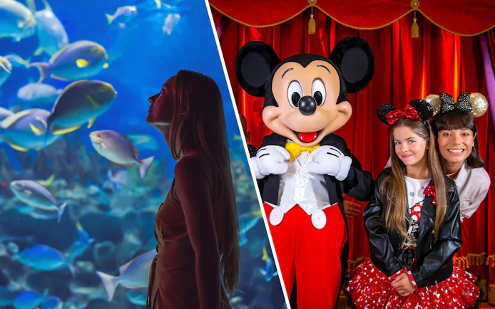 Combo (Save 5%): Aquarium de Paris + Disneyland Paris Tickets