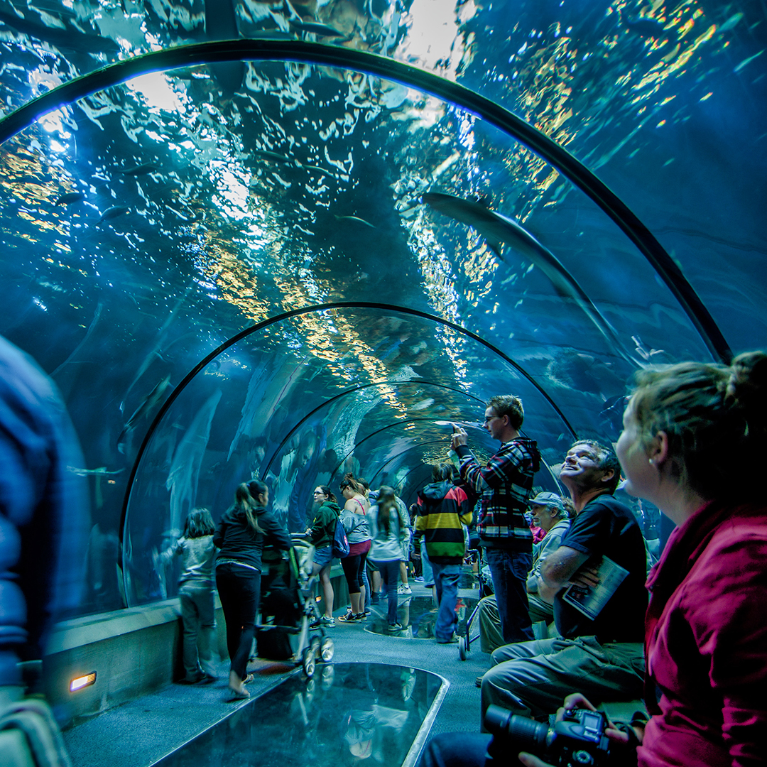 SEA LIFE Berlin timings