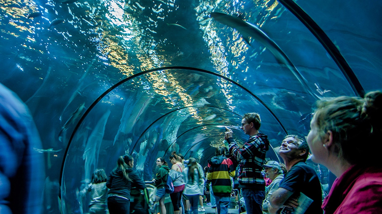 SEA LIFE Berlin timings