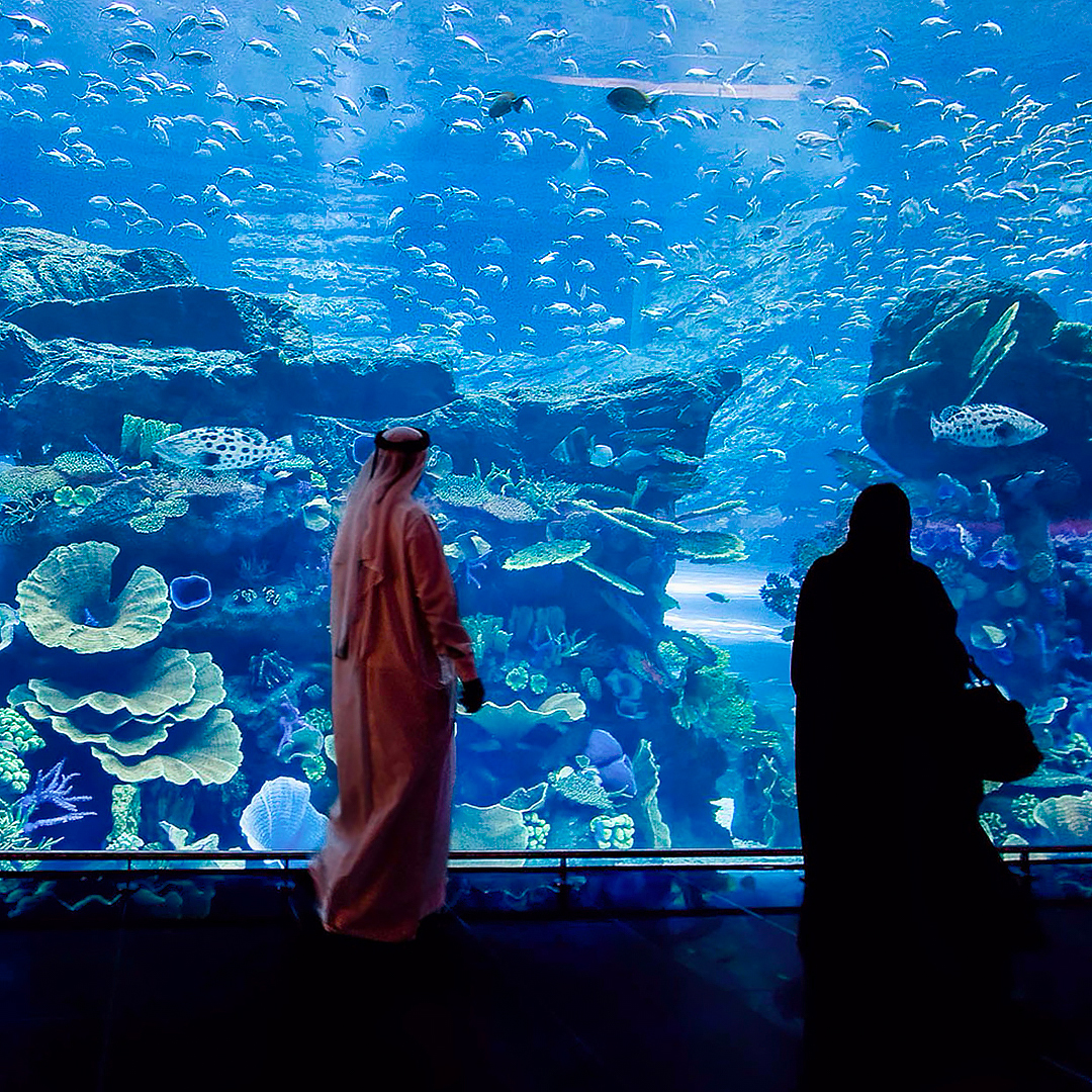 Visitors viewing marine life at Dubai Aquarium & Underwater Zoo.