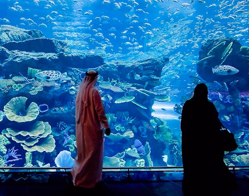 Visitors viewing marine life at Dubai Aquarium & Underwater Zoo.