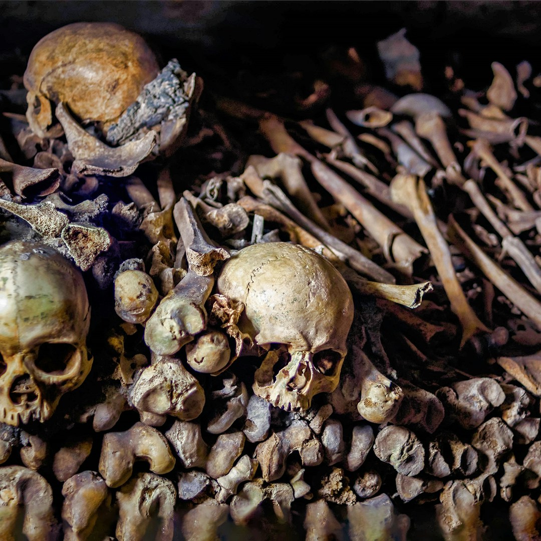 Skulls and bones in Roman catacombs, part of a small-group walking tour.